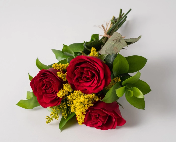 Arranjo de 3 Rosas Vermelhas | Isabela Flores