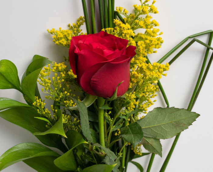 Rosa Nacional Solitária Vermelha