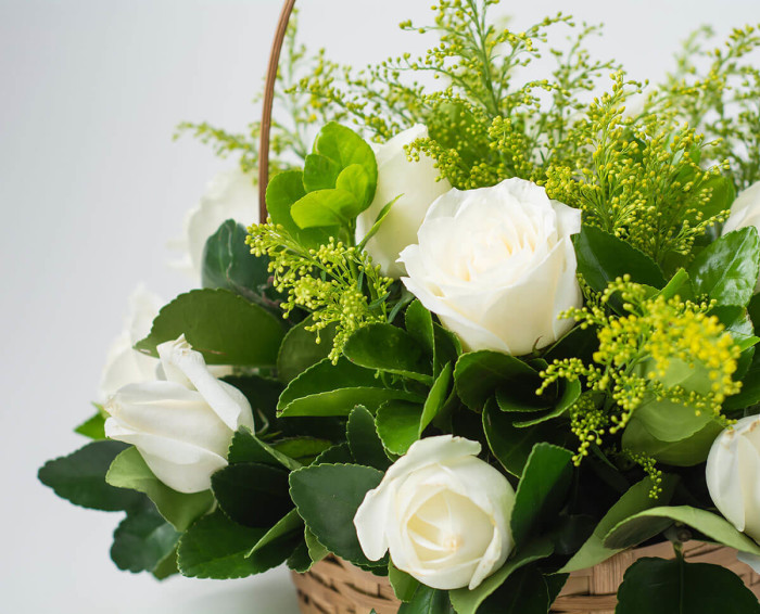 15 Rosas Brancas em Cesta