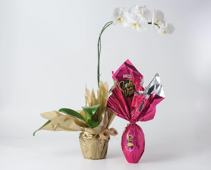 Orquídea Phalaenopsis Branca e Ovo de Páscoa Sonho de Valsa