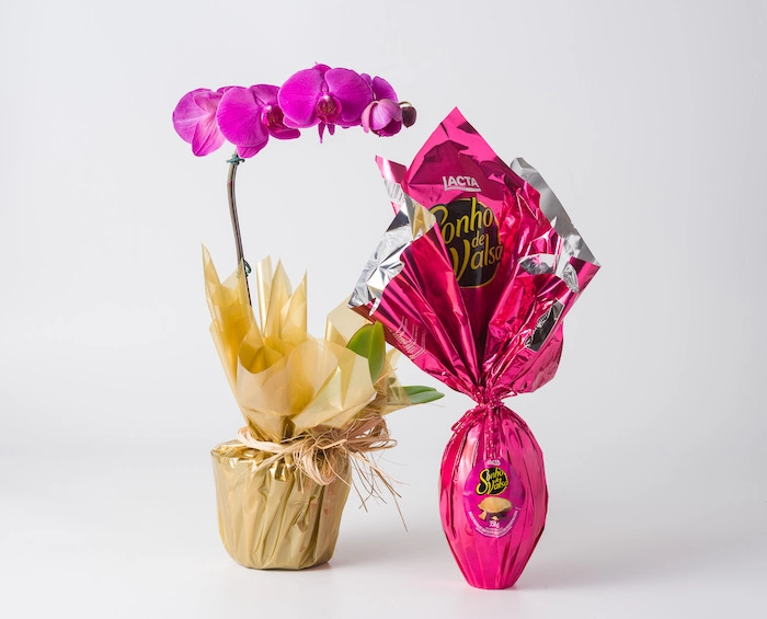 Orquídea Phalaenopsis Pink e Ovo de Páscoa Sonho de Valsa