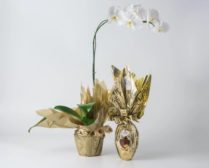 Orquídea Phalaenopsis Branca e Ovo de Páscoa Ferrero Rocher