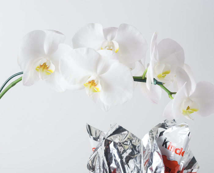 Orquídea Phalaenopsis Branca e Ovo de Páscoa Kinder