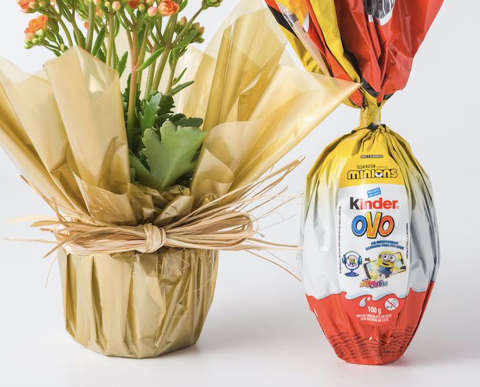 Flor da Fortuna Laranja e Ovo de Páscoa Kinder Minions