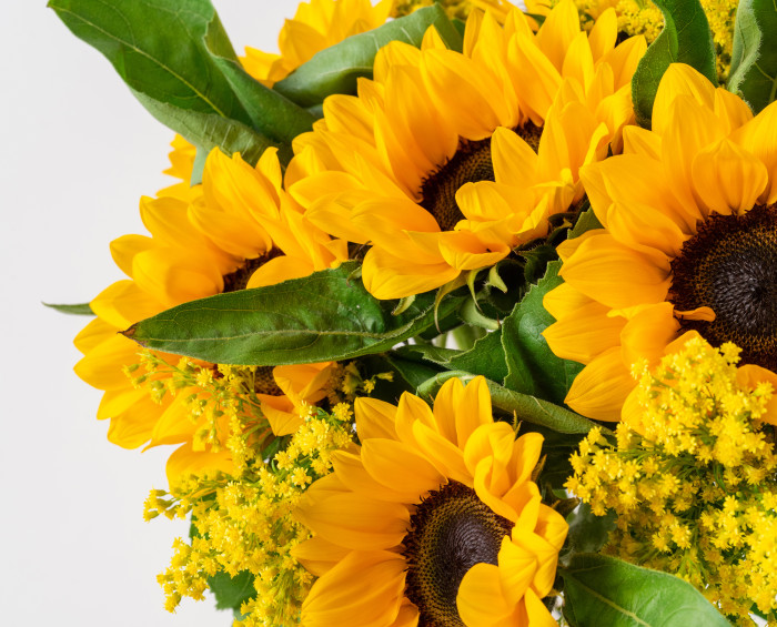 Girassóis em Vaso de Vidro