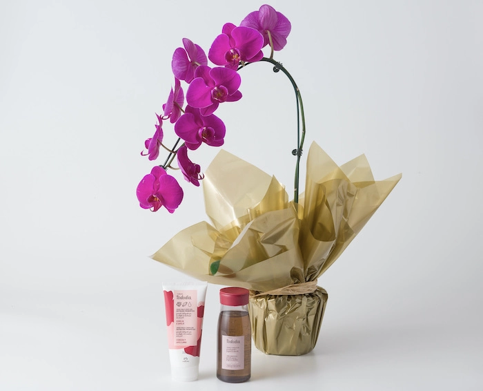 Orquídea Phalaenopsis Pink e Kit Natura Cereja e Avelã | Isabela Flores
