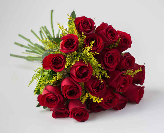 basura clima Camino Buquê de Rosas Vermelhas - Buquê 20 Flores | Isabela Flores