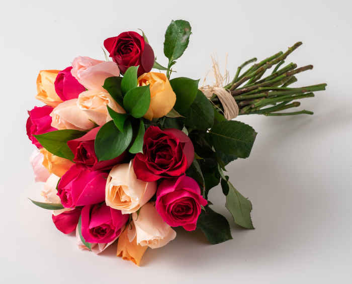 Buquê de 24 Rosas Coloridas | Isabela Flores