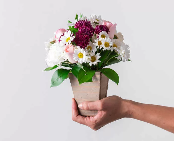 Vasos de Flores: Rosas, Lírios e Mais | Isabela Flores