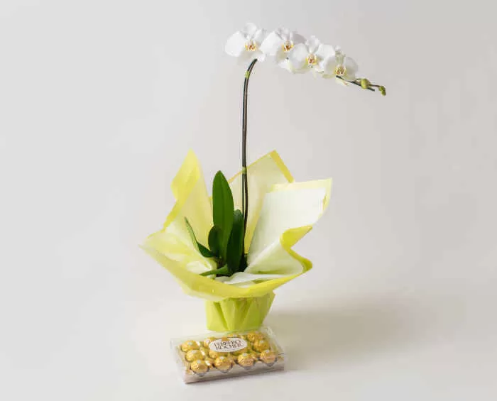 Arranjo de Orquídeas: Entrega no mesmo dia! | Isabela Flores