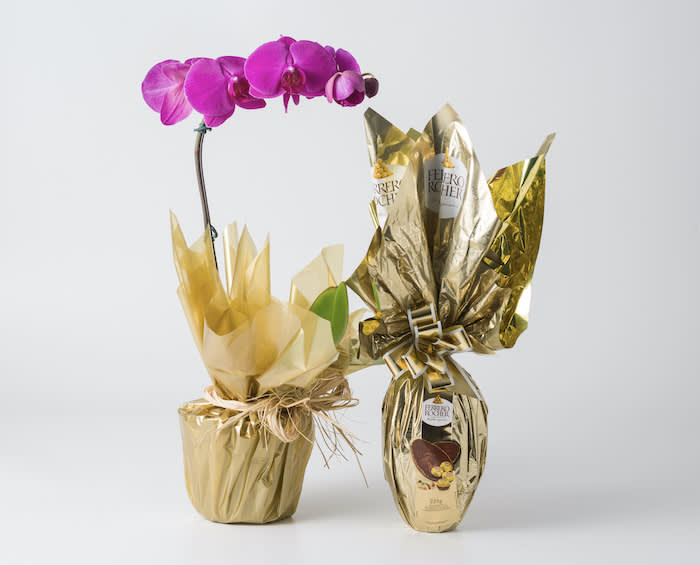 Orquídea Phalaenopsis Pink e Ovo de Páscoa Ferrero Rocher