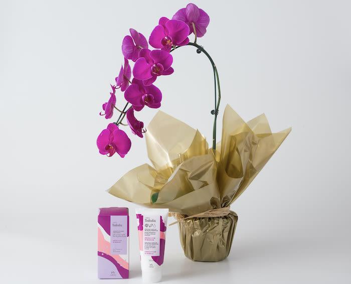 Orquídea Phalaenopsis Pink e Kit Natura Ameixa e Baunilha | Isabela Flores