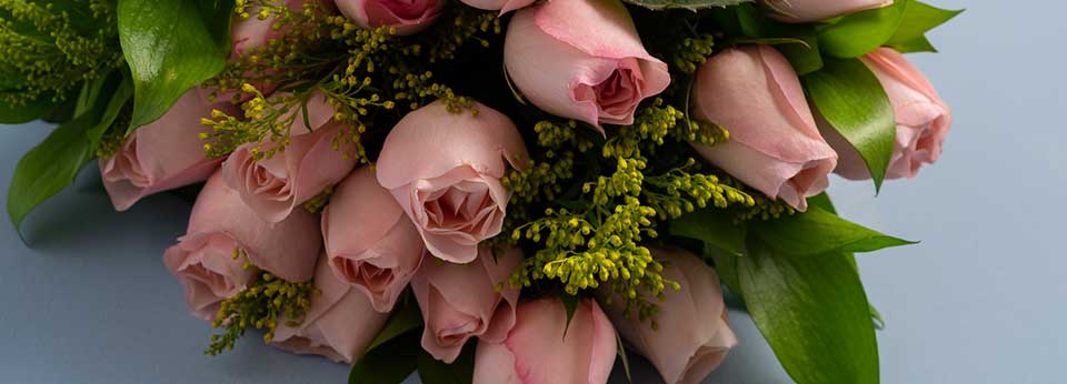 Flores e Presentes - Imagem 1 Flores e Presentes - Imagem 1