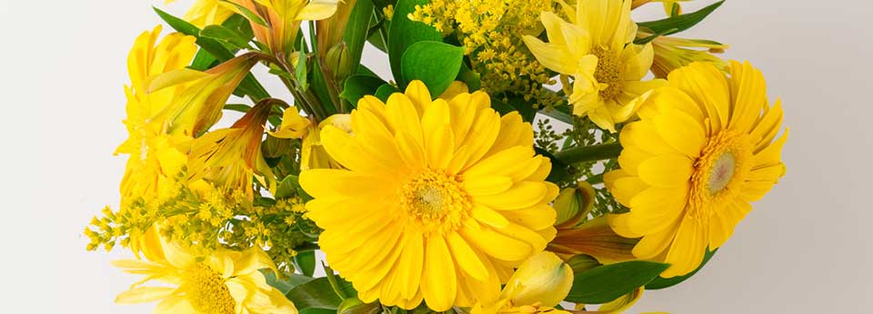Floricultura Nossa Senhora do Socorro - Imagem 1 Floricultura Nossa Senhora do Socorro - Imagem 1