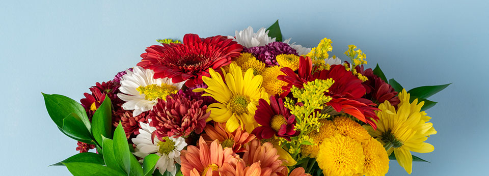 Flores e Presentes - Imagem 2 Flores e Presentes - Imagem 2