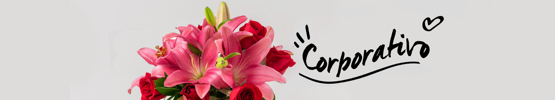 Isabela Flores Isabela Flores